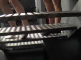 -Amanda- - Ballerinas und Treppe