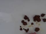 Annissa-Yara - Lass Dir meine Scheiße schmecken