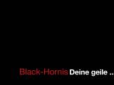 Black-Hornis - Ja auch ich kann extrem werden ;-)