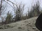 Black-Red6 - Black pisst in Slomo in den Sand