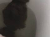 BlackEngelTami - im Stehen ins Klo geschissen