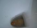 Candy34 -  Krasse Kackwurst 6cm dick und 20 cm lang geschissen