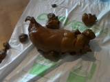 Candy34 - EXTREME  Kackwurst kam endlich raus