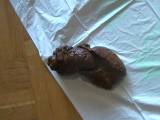 Candy34 - POV,die Wurst hat es aber eilig!!