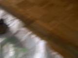 Candy34 - POV-Riesenwurst reisst Rosette auf