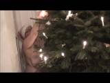 CarmenKelly - Weihnachtsbaum 2014