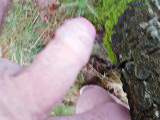 Cheap_ToyBoy - Bei 9 Grad nackt im Wald