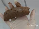 Christall-Star - Lust auf meine warme Wurst?