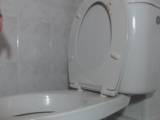 DirtyBarbara - pinkeln und scheißen auf der Toilette.