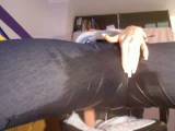 EvilBitch - M60 Jeans, Nylon alles stinkt nach Pissfotze