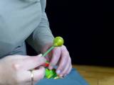 Flittchenschlampe - Lollys mit KV und Muschigeschmack