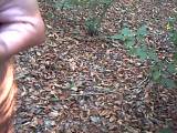 GeilerHengst72 - Pinkeln im Wald