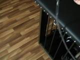 Herrin-Jessy-Hamburg - Der Herrin Dienen