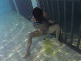 HornyRoxy - Gelb markiert PoolRevier