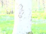 HotLatina20 - Oben ohne Joggen Outdoor