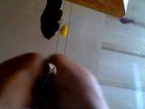 Kackschlampe - Schnelle Kackwurst auf Glastisch