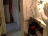 Lady_Vampira - *****d Vacuum-Cock-Sucking