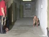 Lolicoon - naughty dogs