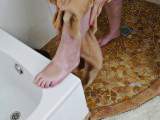 Maggy-Magic - SHOWERS MAKES RANDILY
