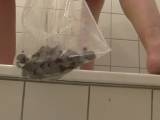 MariaDevot - 1.User bestellte meine KACKE !