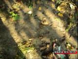 MariaSex2016 - Slip in der Scheiße und voller Streifen Menstruation .