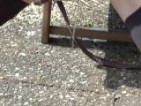Miss-Doertie - Skandal Video:Du bist NICHTS wert!