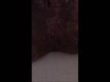 Miss_Kaviar - Geil abgeschissen und gepisst