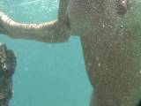 NS-Lady - Adria Urlaub Unterwasser Titten