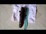 PinkPanty - Sexy Kellnerin kackt für dich