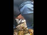 RedElectra - ich pisse und kacke am parkplatz RedElectra - ich pisse und kacke am parkplatz