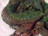 ScatTina - Grüner Schiss auf Teller