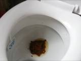 Siva-Maus95D - KACKEN BEI der CHEFIN!
