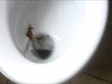 Siva-Maus95D - RIESEN KACKE HAUFEN BEIM ANWALTS TERMIN GELASSEN!