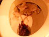Siva-Maus95D - KACKE Gekackte Schokolade -Du bist mein Klo Diener!