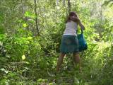 SweetBee70 - Geschäfte im Wald mal so nebenbei