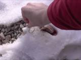 SweetBee70 - roten Tampon im Schnee abgepinkelt