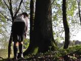 SweetBee70 - Wo ist das Licht? Outtake!