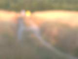 VanessaKiss - SEXY BLONDINE PISST IN DER NATUR