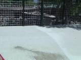 Vienna-Pussys - Mia: Spass im Pool & Pissen hinterm Haus