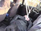 bondageangel - Meine Bondage Fenster, 26. Februar 2016: Hogtied in Auto