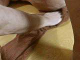 crazy1963 - Squirting mit Unterdruck Vibrator