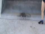 dirty-lena - in Baggerschaufel gepisst