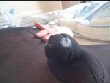 nylonjunge - Der Black Catsuit