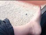 nylonjunge - Pedal Pumping für FAN