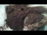 panthergodess - B**y-Kuchen Diper