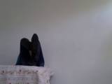 panthergodess - Saubere Stiefel panthergodess - Saubere Stiefel
