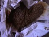 panthergodess - Messy Shorts panthergodess - Messy Shorts