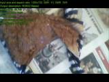 panthergodess - Messy Last Panty Scheiße panthergodess - Messy Last Panty Scheiße