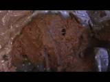 panthergodess - Jeans Balls Poop panthergodess - Jeans Balls Poop