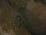 panthergodess - Strumpfhosen Vore Messy